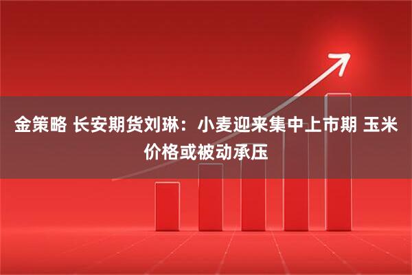 金策略 长安期货刘琳：小麦迎来集中上市期 玉米价格或被动承压