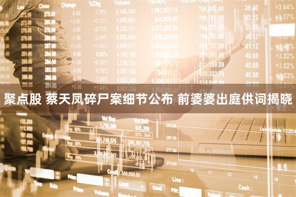 聚点股 蔡天凤碎尸案细节公布 前婆婆出庭供词揭晓