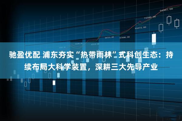 驰盈优配 浦东夯实“热带雨林”式科创生态：持续布局大科学装置，深耕三大先导产业